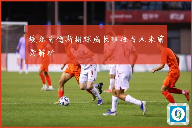 埃尔南德斯排球成长轨迹与未来前景解析