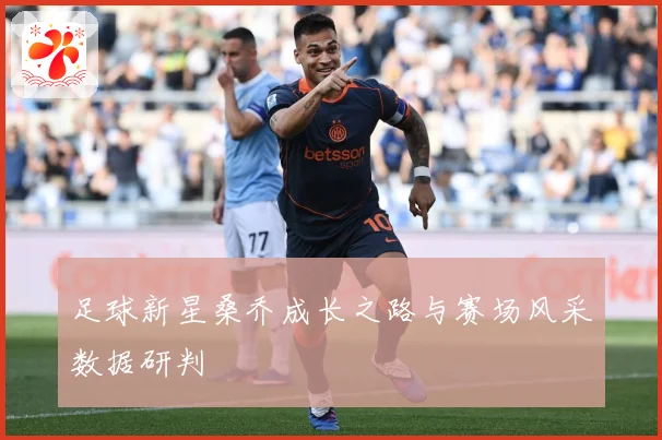 足球新星桑乔成长之路与赛场风采数据研判